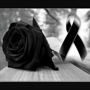 Meet your Posher, Leon